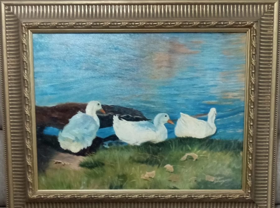 Evening Swim by JoAnn Swearingen Boling